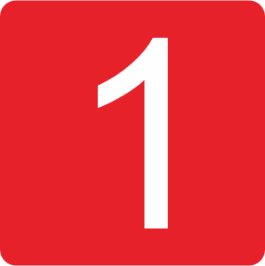 icon 1 mps