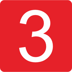 icon 3 mps